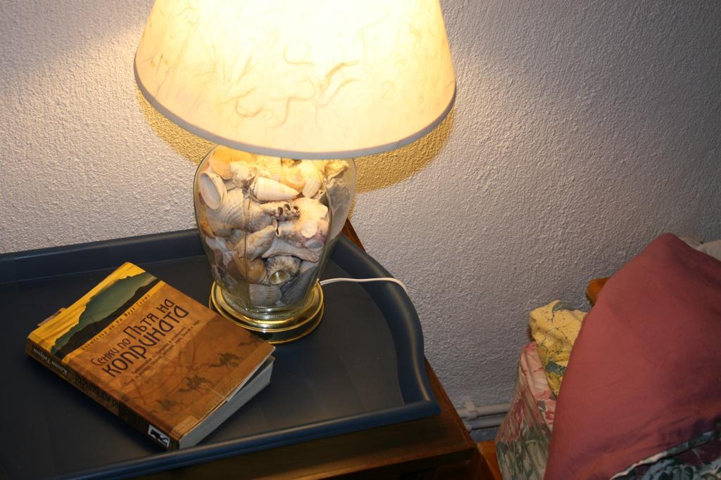 Guest House Kamenik Yagodina Room photo