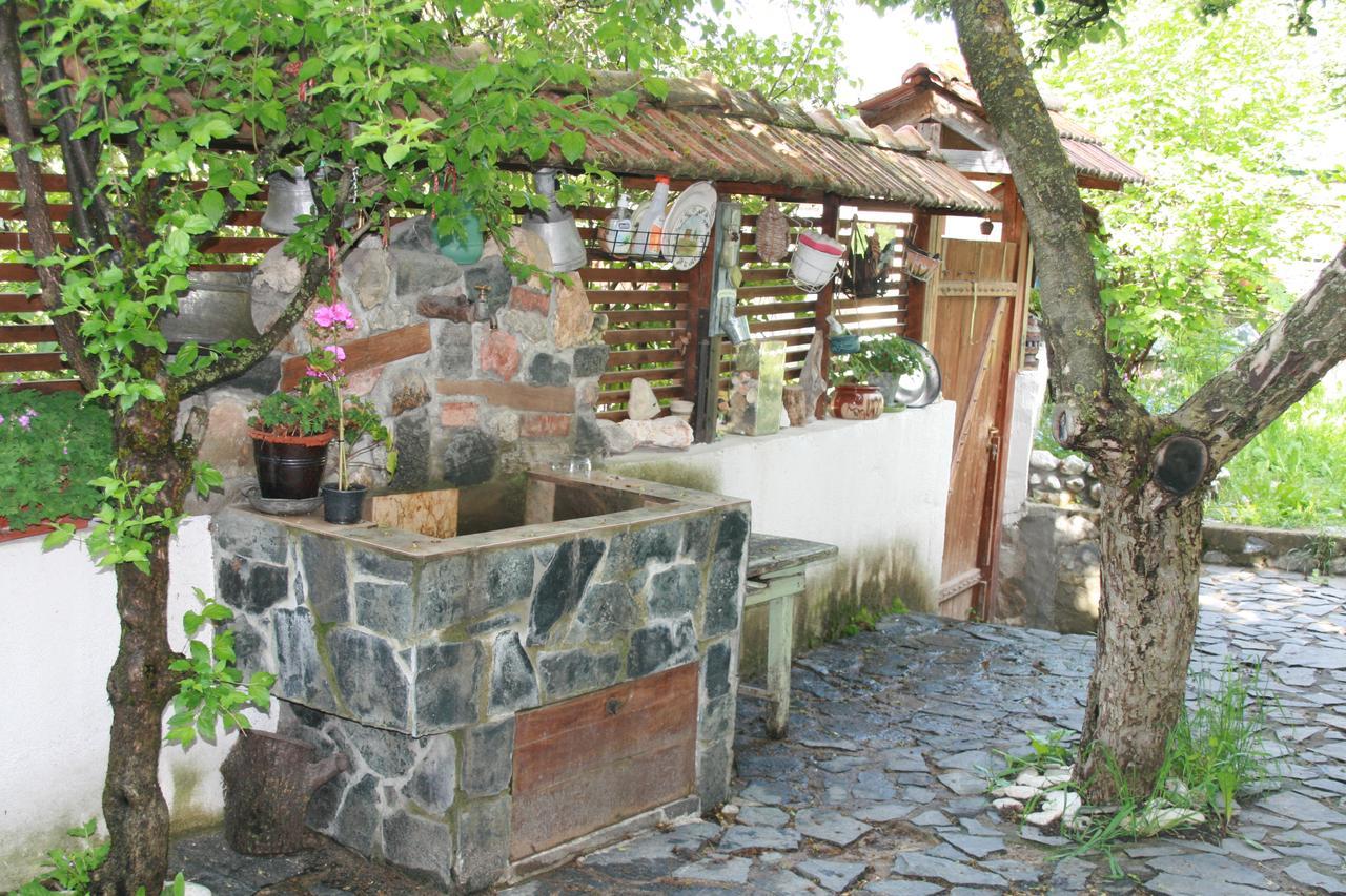 Guest House Kamenik Yagodina Exterior photo
